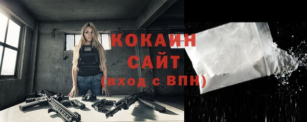 шишки Дмитриев