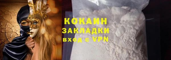 шишки Дмитриев