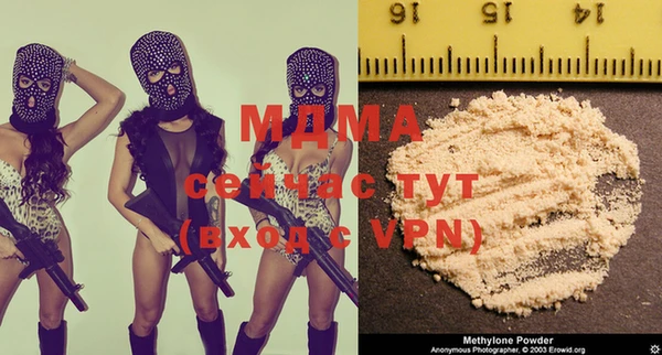 шишки Дмитриев