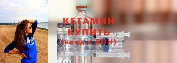 шишки Дмитриев