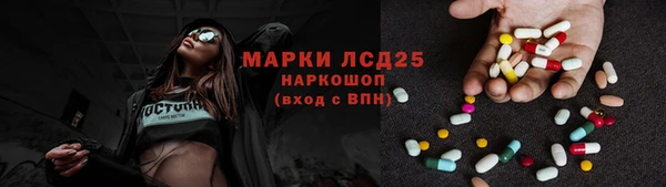 шишки Дмитриев
