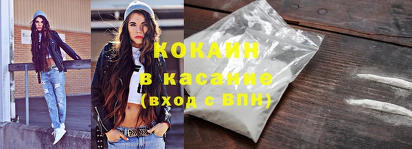 шишки Дмитриев