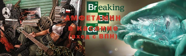 шишки Дмитриев