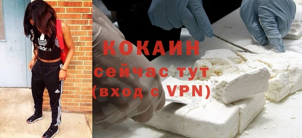шишки Дмитриев