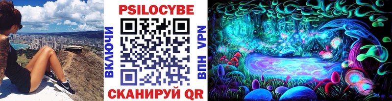 Галлюциногенные грибы GOLDEN TEACHER  Купить где  Знаменск 